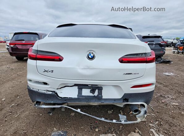 5UX2V1C00L9B80464 2020 BMW X4 Белый Вид сзади