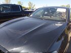 2022 Bmw X4 Xdrive30i Black vin: 5UX33DT00N9M58677