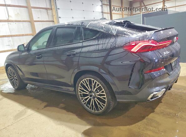 5UX33EX04R9W10028 2024 BMW X6 Blue Tył lewy