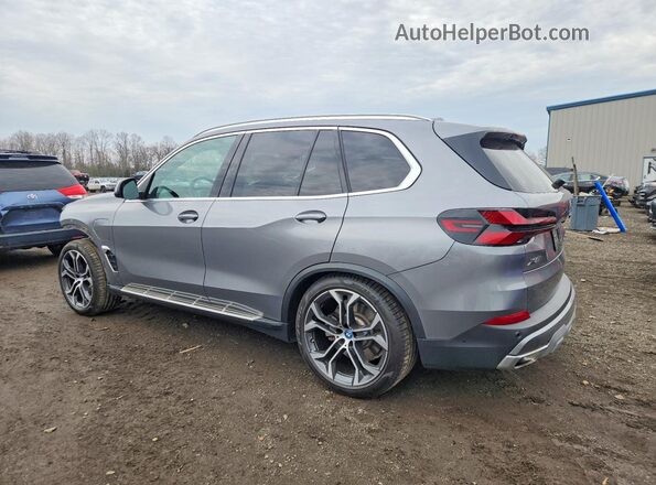 5UX43EU02R9S78325 2024 BMW X5 Silver Tył lewy