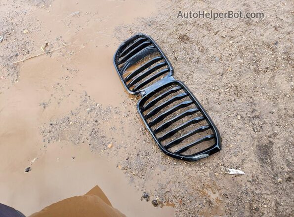 5UXCR6C09L9C77345 2020 BMW X5 Синий Вид подкапотного пространства