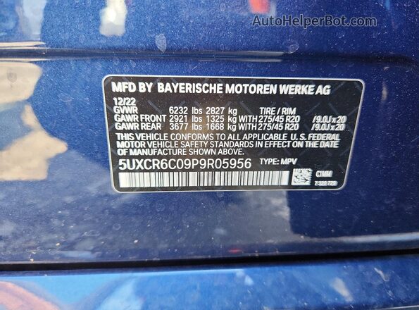 5UXCR6C09P9R05956 2023 BMW X5 Синий Вид наклейки с VIN-кодом