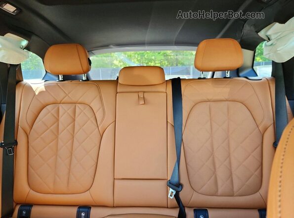 5UXCR6C09P9R05956 2023 BMW X5 Синий Вид задних сидений