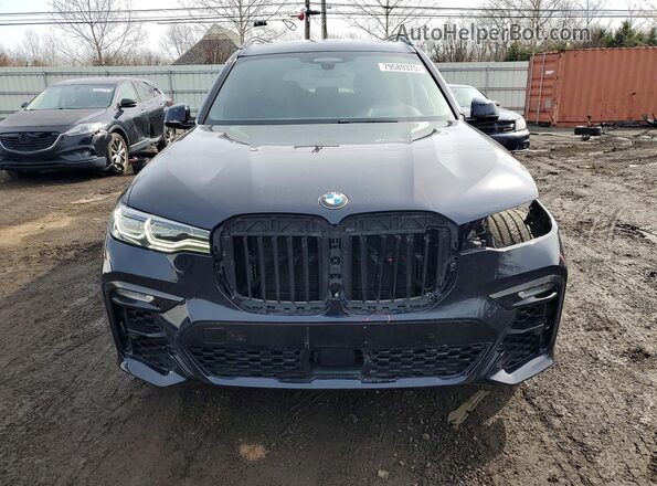 5UXCX6C00L9C61024 2020 BMW X7 Синий Вид спереди