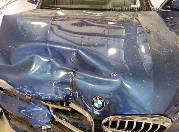 5UXTY3C07L9D65117 2020 BMW X3 Blue Widok komory silnika
