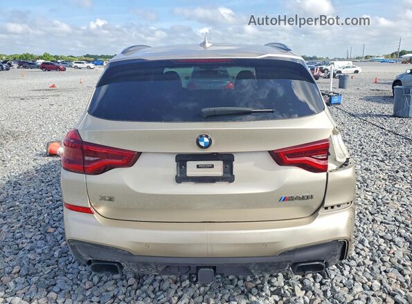 5UXTY9C01M9G65997 2021 BMW X3 Бежевый Вид сзади
