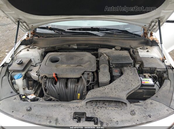 5XXGU4L39GG007828 2016 KIA OPTIMA Серый Вид сзади