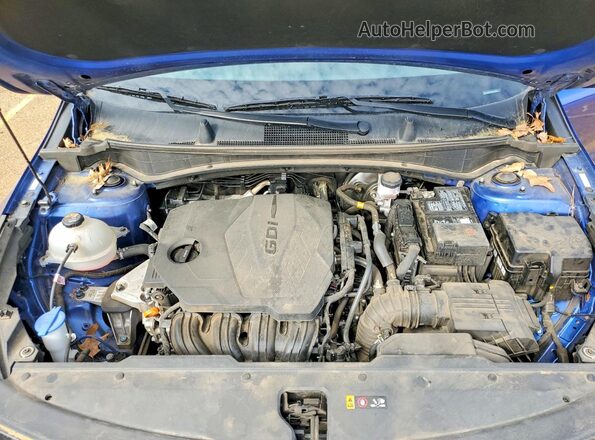 5XYK33DF0RG225834 2024 KIA SPORTAGE Blue Սալոնի հետևի տեսք