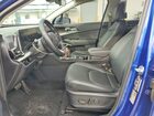 2024 Kia Sportage Ex Blue vin: 5XYK33DF1RG188518
