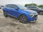 2024 Kia Sportage Ex Blue vin: 5XYK33DF3RG194157