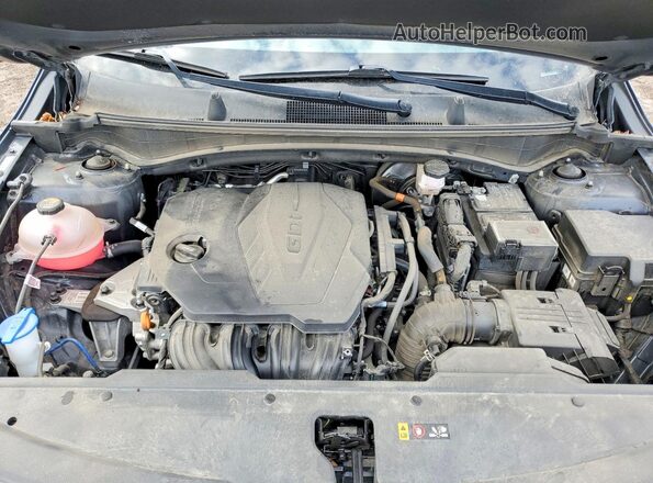 5XYK33DF8RG141891 2024 KIA SPORTAGE Серый Вид задней части салона