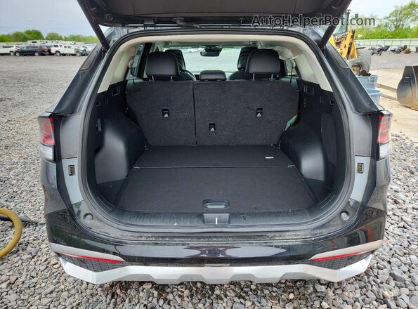 5XYK53DF2RG195164 2024 KIA SPORTAGE Угольный Вид сзади