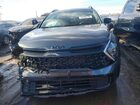 2025 Kia Sportage X Line Gray vin: 5XYK6CDF0SG239780