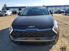2024 Kia Sportage X-line Black vin: 5XYK6CDF2RG143708