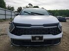 2024 Kia Sportage X Line White vin: 5XYK6CDF5RG141211