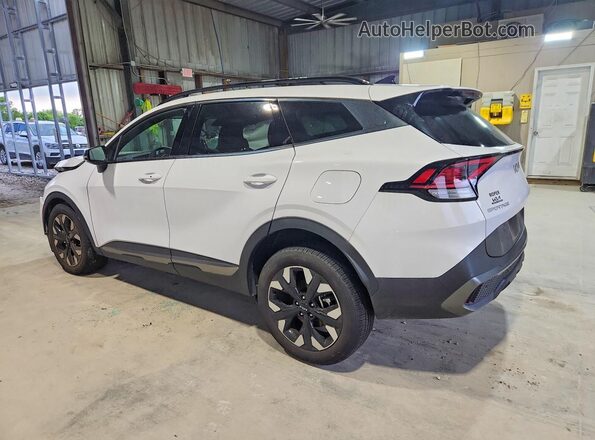5XYK6CDF7RG213686 2024 KIA SPORTAGE White Задня ліва чверть