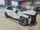 2024 Kia Sportage X Line White vin: 5XYK6CDF7RG213686