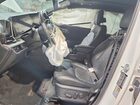 2024 Kia Sportage X Line White vin: 5XYK6CDF7RG213686