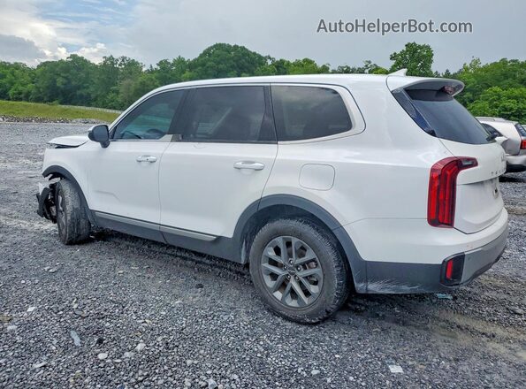 5XYP24GC7RG434052 2024 KIA TELLURIDE White უკანა მარცხენა