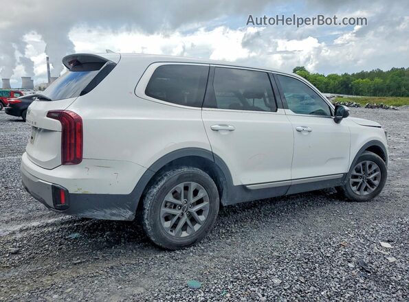 5XYP24GC7RG434052 2024 KIA TELLURIDE White უკანა მარჯვენა