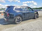 2024 Kia Telluride Ex Black vin: 5XYP34GC6RG444388