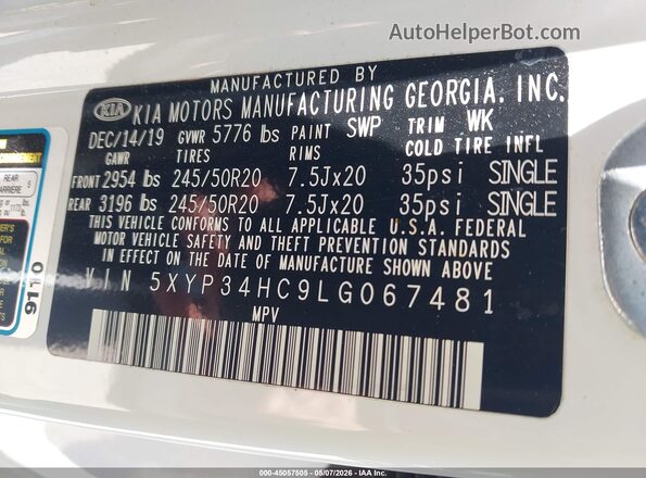 5XYP34HC9LG067481 2020 KIA TELLURIDE White Widok komory silnika