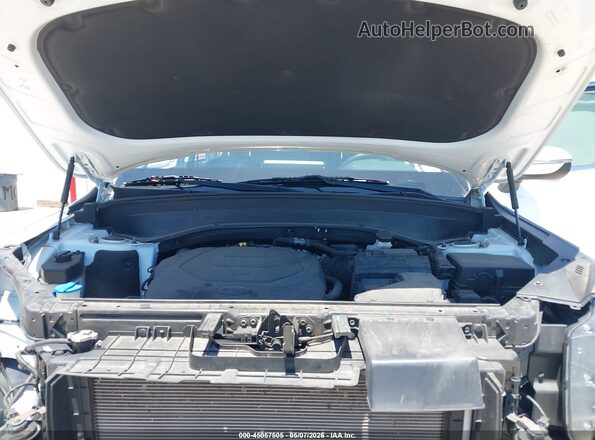 5XYP34HC9LG067481 2020 KIA TELLURIDE White Widok z tyłu