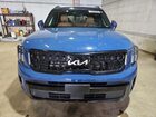 2024 Kia Telluride Ex X-line Blue vin: 5XYP3DGC0RG477757