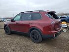 2024 Kia Telluride Ex X-line Burgundy vin: 5XYP3DGC0RG523409