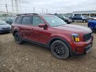 2024 Kia Telluride Ex X-line Burgundy vin: 5XYP3DGC0RG523409