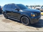 2025 Kia Telluride Ex X-line Black vin: 5XYP3DGC0SG717296