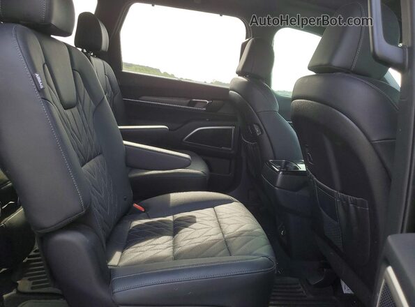 5XYP3DGC1RG534774 2024 KIA TELLURIDE Черный Вид задней части салона