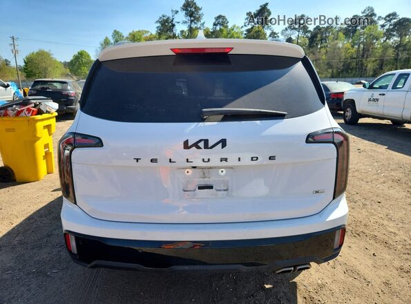 5XYP3DGC4SG603205 2025 KIA TELLURIDE Белый Вид сзади