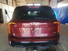 2024 Kia Telluride Ex X-line Красный vin: 5XYP3DGC5RG545468