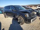 2024 Kia Telluride Ex Black vin: 5XYP3DGC8RG433571