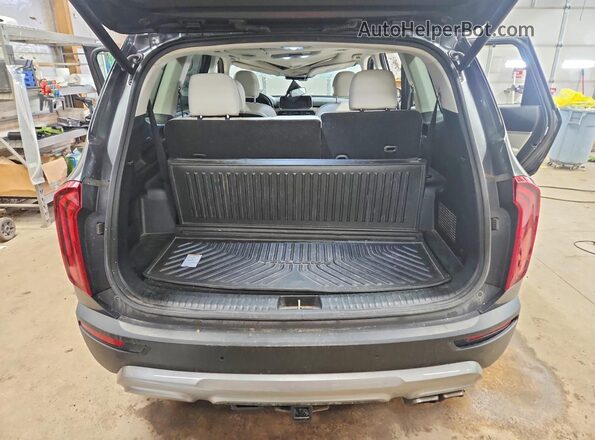 5XYP3DHC3LG082512 2020 KIA TELLURIDE Teal Вид ззаду