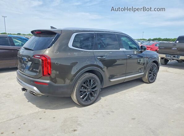 5XYP54HC1LG041127 2020 KIA TELLURIDE Brown უკანა მარჯვენა