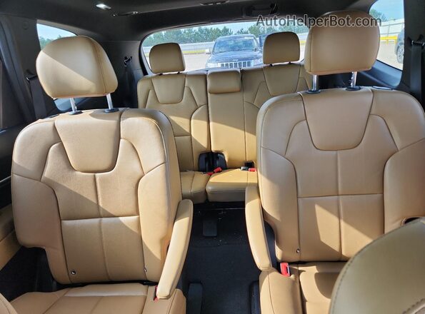 5XYP54HC6LG025392 2020 KIA TELLURIDE Black Հետևի նստատեղերի տեսք