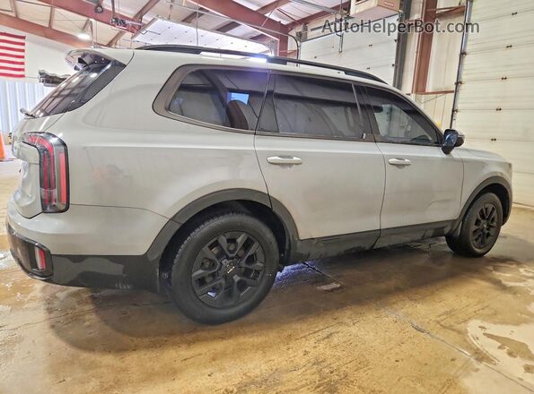 5XYP5DGC0RG431114 2024 KIA TELLURIDE Серый Задняя правая четверть