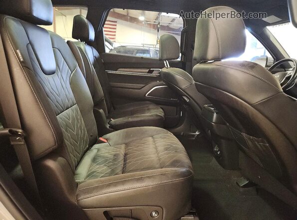 5XYP5DGC0RG431114 2024 KIA TELLURIDE Серый Вид задней части салона
