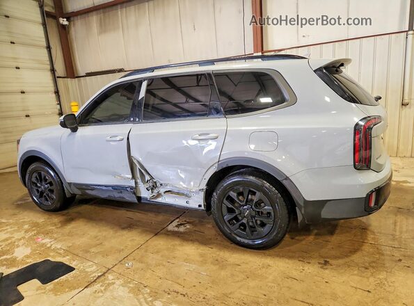 5XYP5DGC0RG431114 2024 KIA TELLURIDE Серый Задняя левая четверть