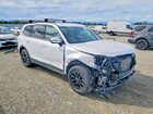 2024 Kia Telluride Sx-prestige X-pro White vin: 5XYP5DGC0RG536137