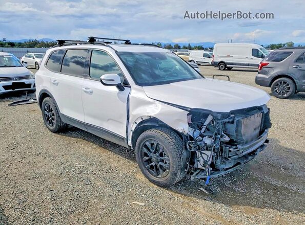 5XYP5DGC0RG536137 2024 KIA TELLURIDE White Przód prawy