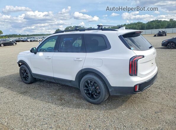 5XYP5DGC0RG536137 2024 KIA TELLURIDE White Tył lewy