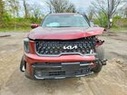 2024 Kia Telluride Sx-prestige X-line Бордовый vin: 5XYP5DGC1RG539516