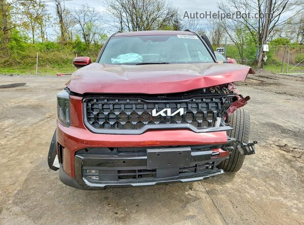 5XYP5DGC1RG539516 2024 KIA TELLURIDE Бордовый Вид спереди
