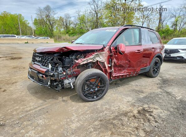 5XYP5DGC1RG539516 2024 KIA TELLURIDE Бордовый Передняя левая четверть