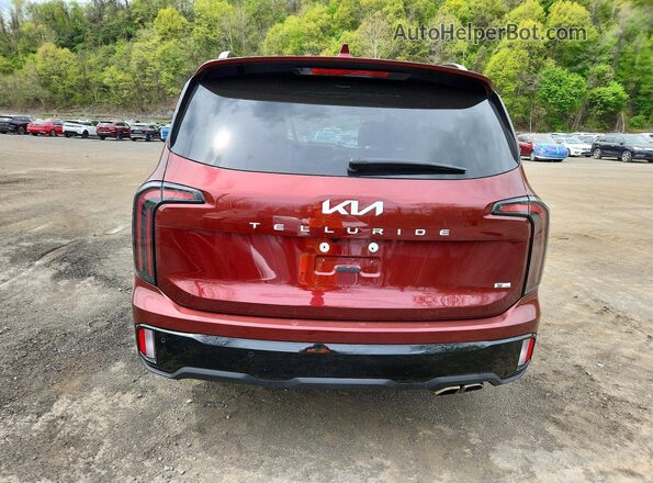 5XYP5DGC1RG539516 2024 KIA TELLURIDE Бордовый Вид сзади
