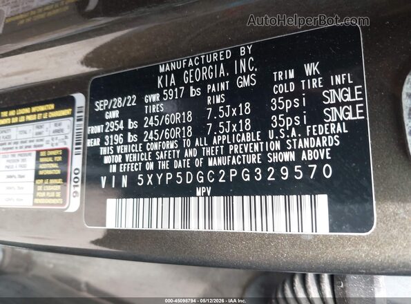5XYP5DGC2PG329570 2023 KIA TELLURIDE Brown Widok komory silnika