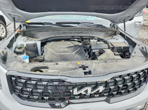 5XYP5DGC2RG489306 2024 KIA TELLURIDE Gray Vista interior trasera